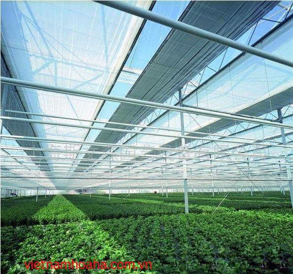 Sunshade Net